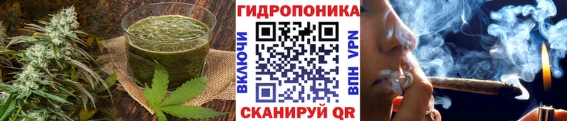 купить сайты Болотное Canna-Cookies конопля