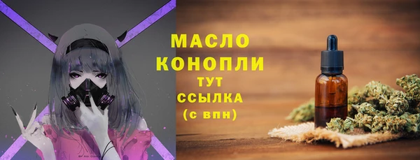 2c-b Новозыбков