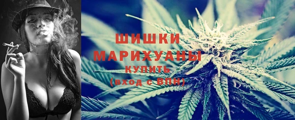 трава Новодвинск