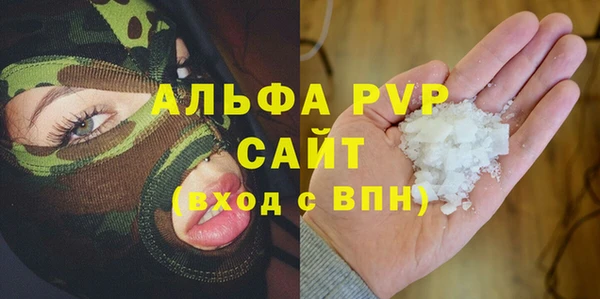 ГАЛЛЮЦИНОГЕННЫЕ ГРИБЫ Ельня
