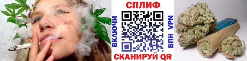 где можно купить наркотик  Болотное  Бошки марихуана семена 